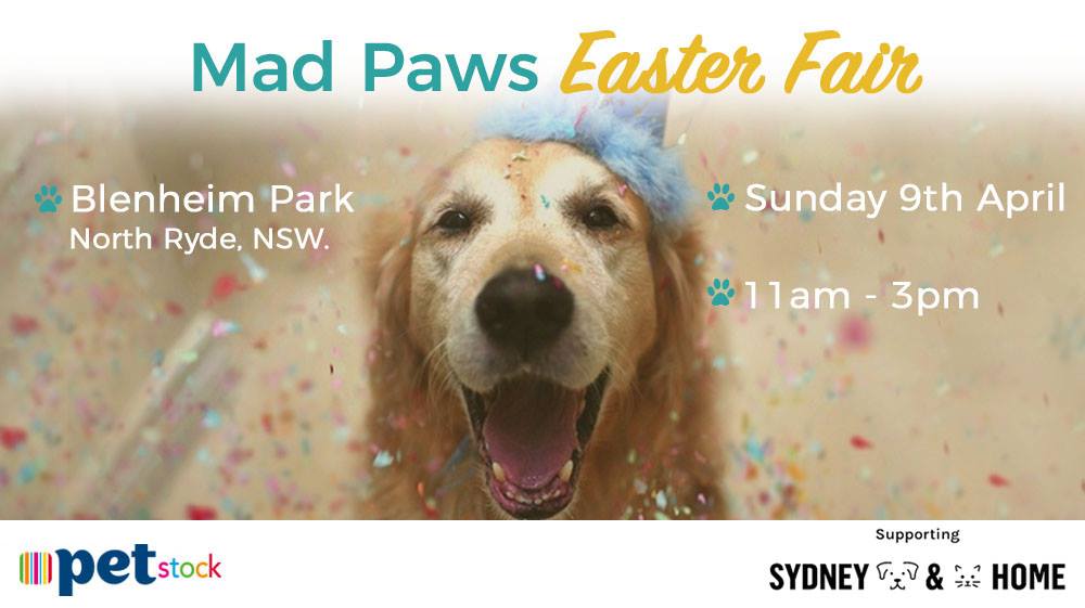 Mad Paws Easter Fair