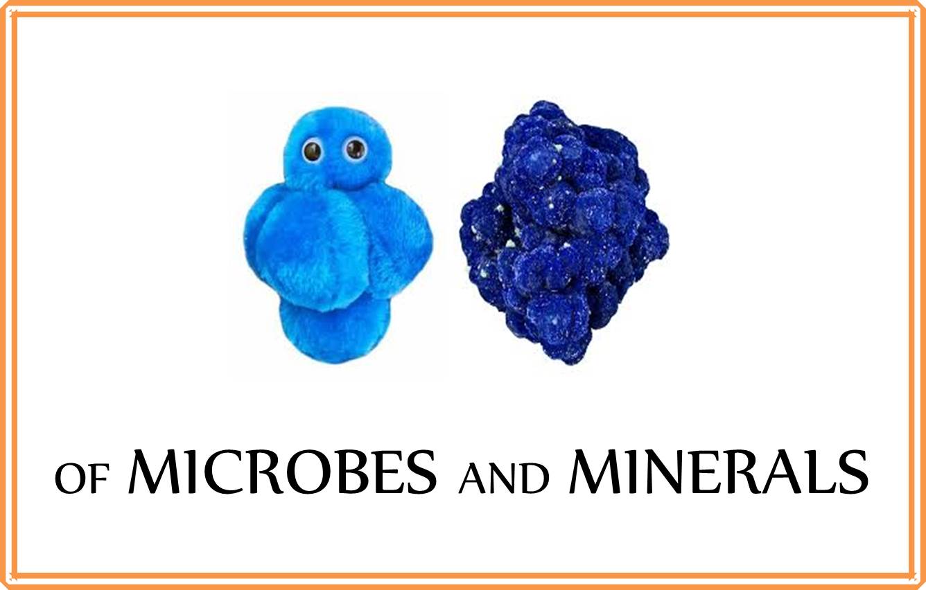 Of Microbes and Minerals - School Holiday Science Workshop