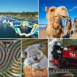 Top things to do with kids in port macquarie